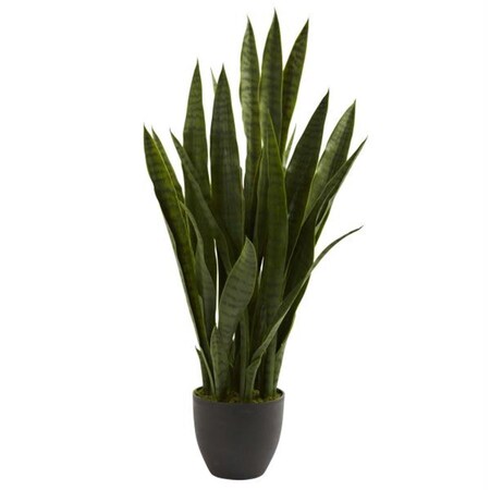 Dare2Decor Sansevieria with Black Planter DA408331